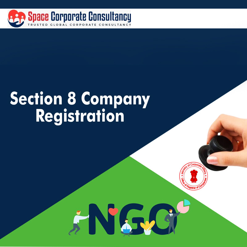 SECTION 8 COMPANY